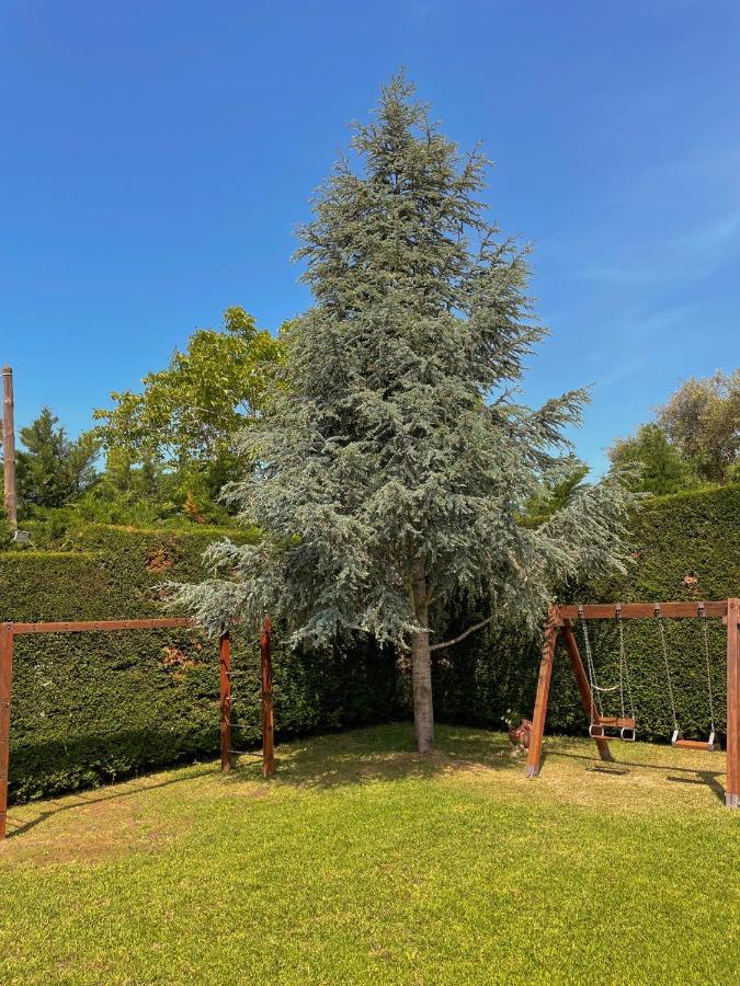 Kourouta Villas Αμαλιάδα Εξωτερικό φωτογραφία