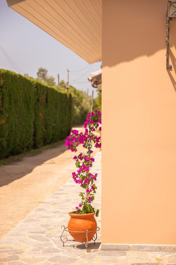 Kourouta Villas Αμαλιάδα Εξωτερικό φωτογραφία